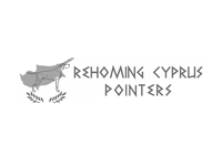 Rehoming Cyprus Pointers
