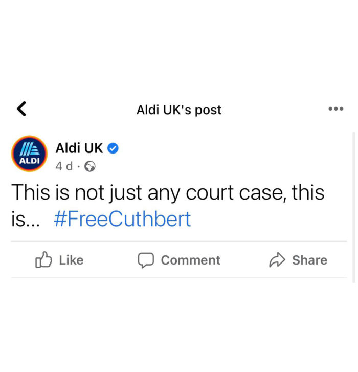 Cuthbert Caterpillar Not Just Any Court Case